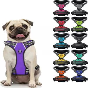 손잡이와 전면 클립이 있는 칼라다이렉트 노 풀 반사견 하네스 소형견부터 대형견까지 훈련하고 걸을 수
