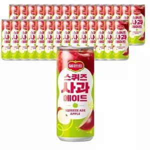 [셀러허브]롯데 델몬트 스퀴즈 사과 240ml X 30캔 과일음료 사과주스 (S11771423)