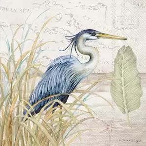 IHR 이상적인 홈레인지 칵테일 냅킨 일회용 3겹 종이 파티 팩 5인치 x 블루 헤론 온 잔디 20개들이