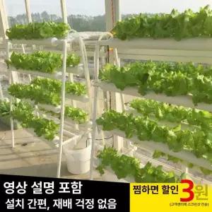 픽노바 수경재배기 스마트팜 상추키우기 식물재배기