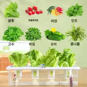 픽노바 수경재배기 채소 키트 화분 상추키우기 가정용