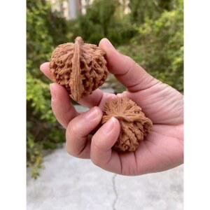 호두 손지압볼 한쌍 핸드 부모님 손운동 악력증가 마사지볼 집중력