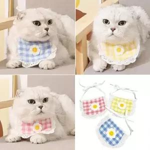 펙토락 레이스케이프 귀여운 애견턱받이 냥이 포인트케이프 1+1