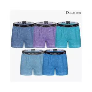 제임스딘 트렁크팬티 남자순면팬티 사각 팬티 5종 세트 892429
