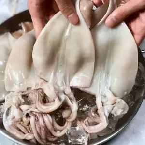 물맛남 국내산 손질 오징어 2-4미 (500g)