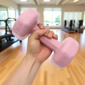 바디필 2개세트(2kg) (핑크) 컬러 덤벨 아령 육각