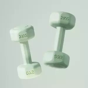 컬러 (그린) 덤벨 바디필 아령 육각 2개세트(2kg)