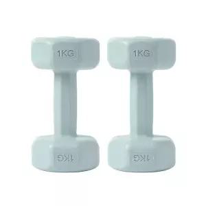 2개세트(1kg) 컬러 (블루) 육각 아령 덤벨 바디필