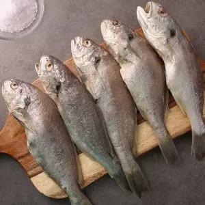 국내산 반건조 백 조기 2.4kg 20미 국산 백 조기 굴비 조기 에어프라이어 백굴비 제사용조기 백 조기 구이