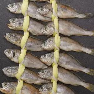 국내산 반건조 참 조기 1.6kg 20미 국산 참 조기 굴비 조기 에어프라이어 참굴비 제사용조기 참 조기 구이