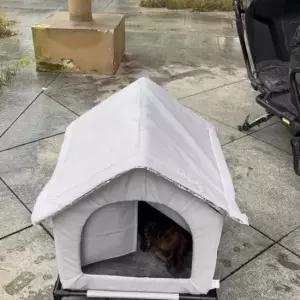 눈비 대응 설계 길고양이 집 바람 차단 하우스 구조