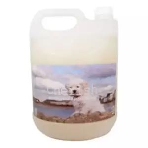 관공서 약용샴푸 이 체리쉬 애견 강아지용품 강아지삼푸 겸용 말티즈샴푸 35W3F69E7