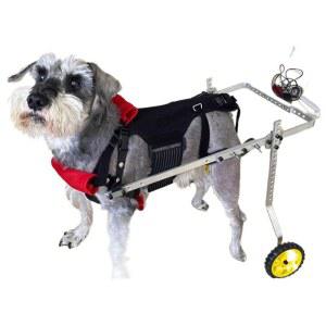 4륜 강아지 보행기 보조기 중형견 보조바퀴 사륜 XXS 사지마비 XS 의족 애완견