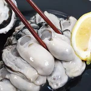 [산해직송] 통영 생굴 1kg