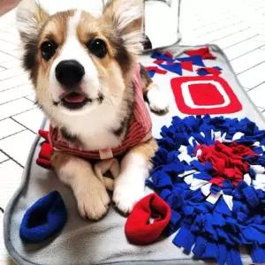 애견방석 훈련 강아지 패드 놀이 강아지 반려견 애완견