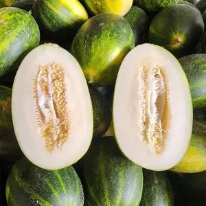 늘푸른 국내산 파파야메론 3kg