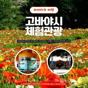 [일본 프라이빗 택시관광] 큐슈 미야자키 고바야시 체험코스(이데노야마 수족관, 이코마 고원) (당일투어, 일일관광)