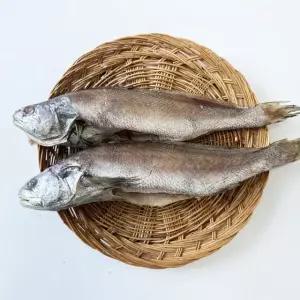 국내산 반건조 통민어 2미(1미당 280g-300g내외)