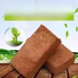 코코넛 분갈이흙 식물용 배양토 벽돌 브릭 영양토 난초
