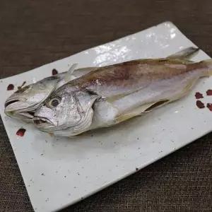 [셀러허브]통영 반건조 백 조기 굴비 500g 3-4미 백굴비 반 건조 조기 보구치 통영조기 손 (S39629395)