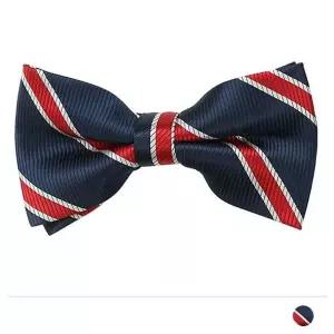 [셀러허브]MZ_네이비 스트라이프 보타이 (S27365164)