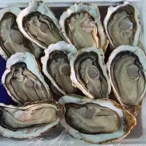 [셀러허브]통영 하프셀 30미 내외 반 각굴 통영 굴 석화 굴 하프쉘 하프셸 하프 굴 석화 햇 (S42236307)