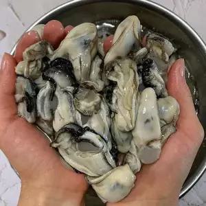 [셀러허브]통영 생 굴 1kg 40미내외 대굴 통영굴 깐굴 햇굴 햇 생굴 회 횟감용굴 (S42306434)