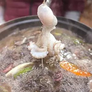 [신세계라이브쇼핑]제철 국내산 생물 26년 급냉 쭈꾸미 1kg 8~13미