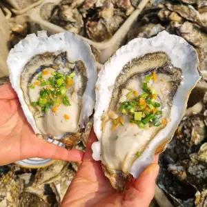 광양 벚 굴 3kg 6-15미 섬진강벚굴 섬진강 벗굴 자연산 굴 섬진강굴 자연산 석화 굴