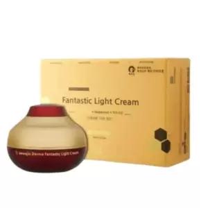 [셀러허브][단비] 애와진 판타스틱 라이트 크림 100ml x 1개 (S41564187)