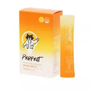 닥터펠리스 고양이 영양제 츄르형 퍼펙트 케어 스틱 연어 15P 1개