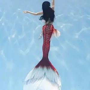 인어꼬리 수영복 코스튬 인어공주 의상 슈트 꼬리 수중 촬영