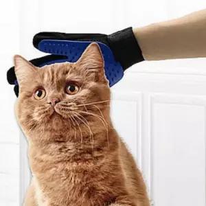 장갑 고양이 2개 털