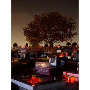 태양광 충전 촛불등 야외 방수 제사용 자동 점등 장식 조명등