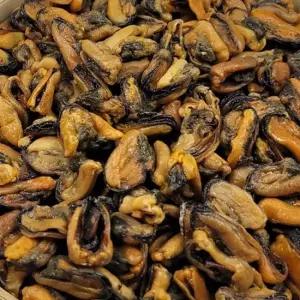 국내산 건홍합 500g 1팩 소