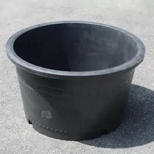 블루수련분대형 2호 튼튼 - 수생식물기르기 수련분갈이