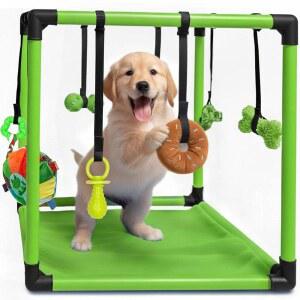 Race & Herd 강아지 놀이 체육관, 매트, 8개의 번지 스트랩 인터랙티브 활동 장난감 - 작은 정글 체육관 19.5인치 프레임, 놀이터 세트 실내 강화 센터 (그린)