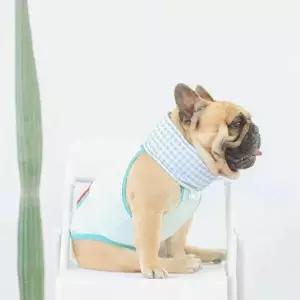 강아지 쿨목도리 쿨스카프 냉각패드 애견용품 펫용품 머플러