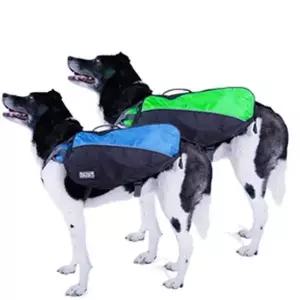 강아지 백팩 L 2색 애견 가방 악세사리 산책 활동 강아지가방