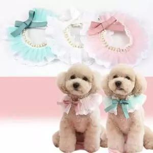 강아지 스카프 애견 목도리 악세사리 레이스 강아지악세사리