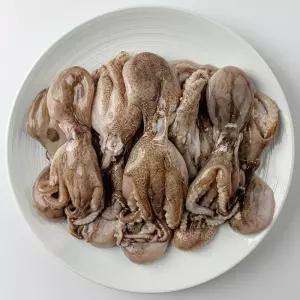 신선 쫄깃한 서해안 활쭈꾸미 맛있는 자연산 주꾸미생물