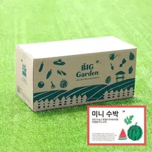 [콩심팥심]저면관수 화분 베란다 도시농부 미니수박 텃밭