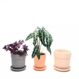 [콩심팥심]토분 도자기 화분 베란다 미니 D15x15cm