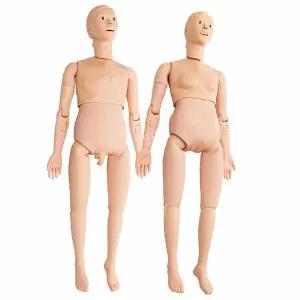실습용 마네킹 인체 교육 전신 모델 교구 모형 더미