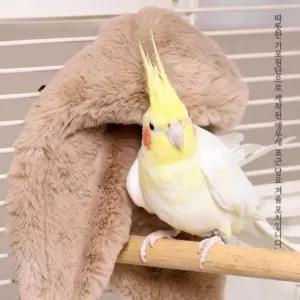 포근 학생 담요 앵무새 캠핑 판촉물 겨울 포치 새장 미니 모포 레져 따뜻한 텐트