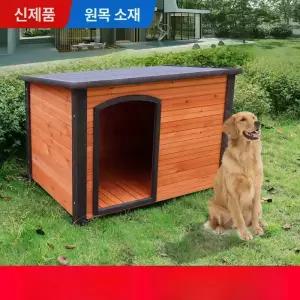 대형견 야외 집 진돗개 하우스 고양이 대형개