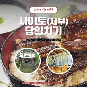 [일본 프라이빗 택시관광] 큐슈 미야자키 서부 당일치기(도만신사, 장어덮밥 미식코스) (당일투어, 일일관광)
