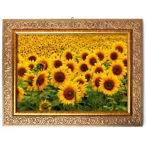 해바라기액자 돈들어오는 해바라기 그림 벽걸이 액자