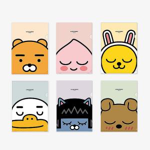 카카오프렌즈 L홀더 화일