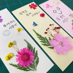 (생화) 압화 꽃 책갈피 만들기세트 독서행사 학교체험 풀세트